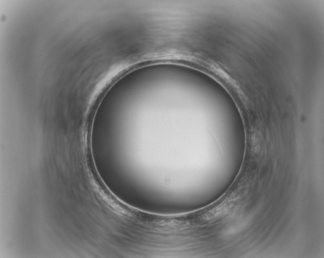 X0000059831416200510241409