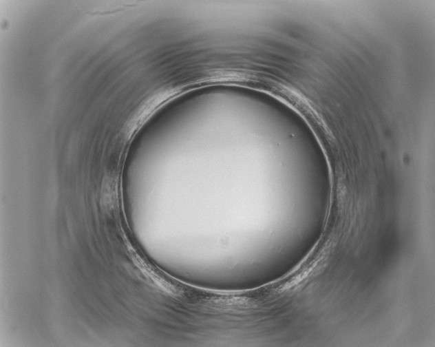 X0000059831417200510241409