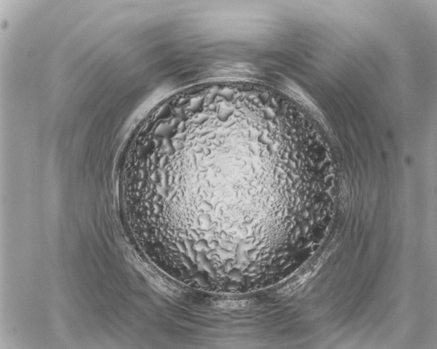 X0000059831419200510241409