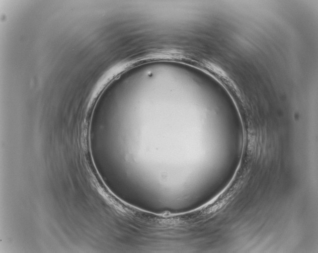 X0000059831421200510241409