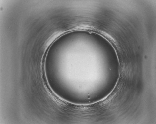 X0000059831423200510241409