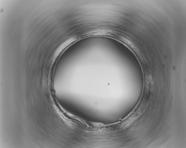 X0000059831426200510241409