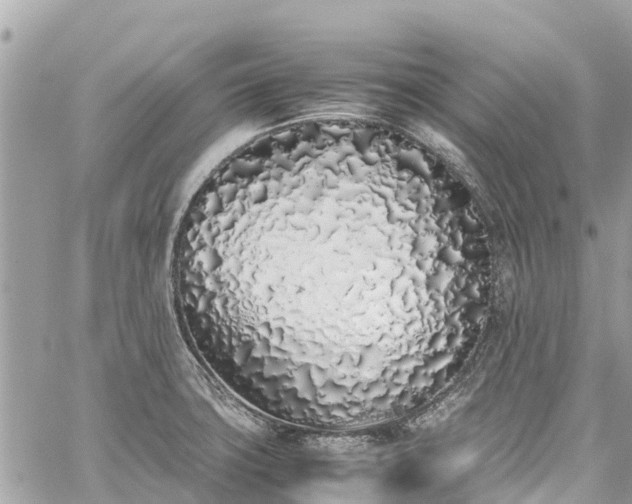 X0000059831427200510241409