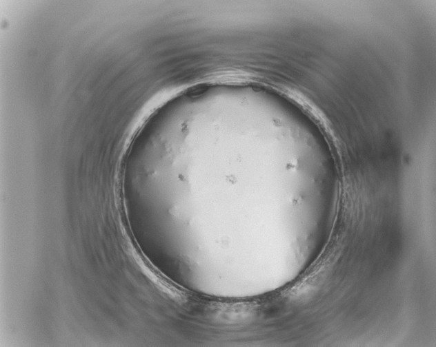 X0000059831429200510241409