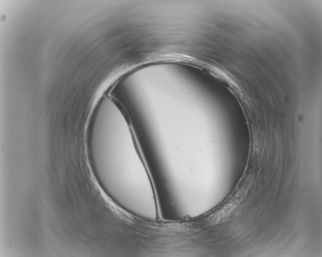 X0000059831430200510241409