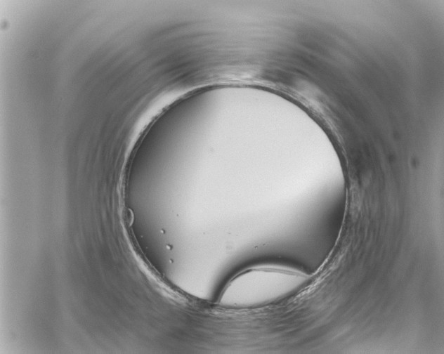 X0000059831432200510241410