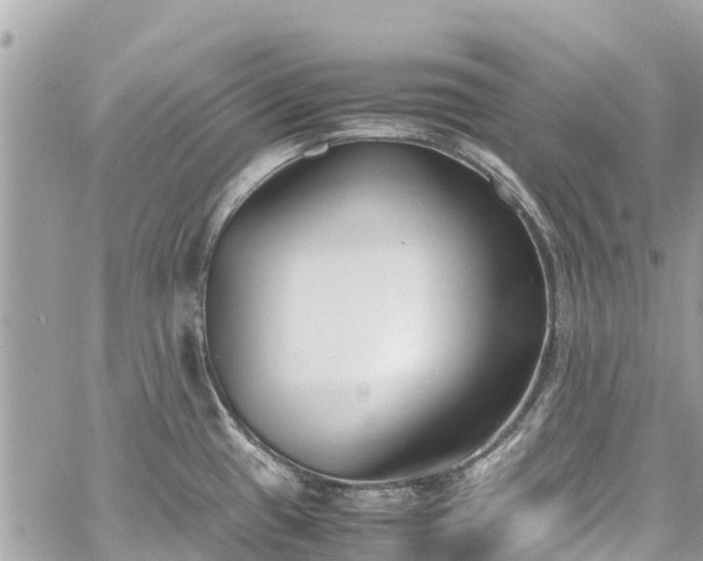 X0000059831433200510241410