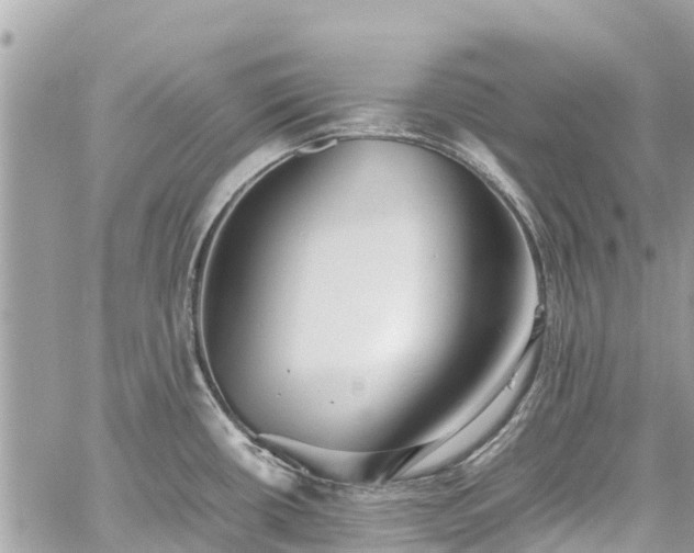 X0000059831434200510241410