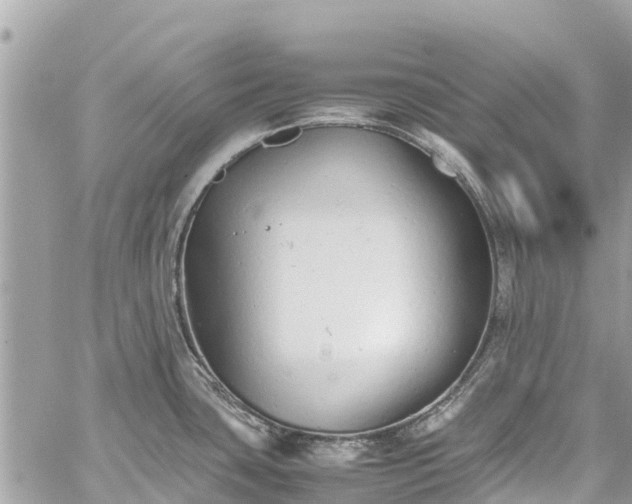 X0000059831435200510241410