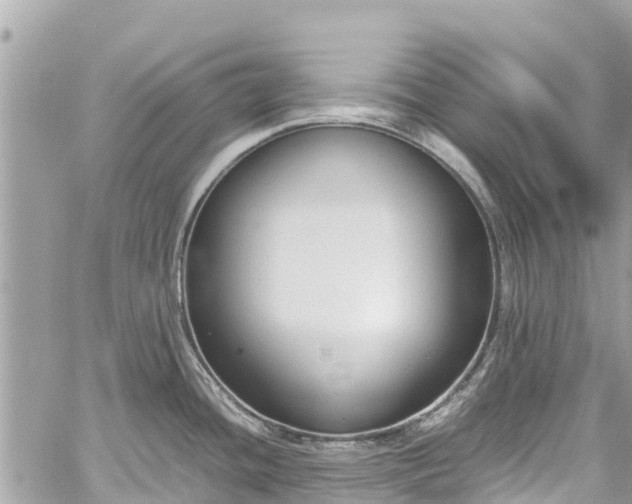 X0000059831436200510241410