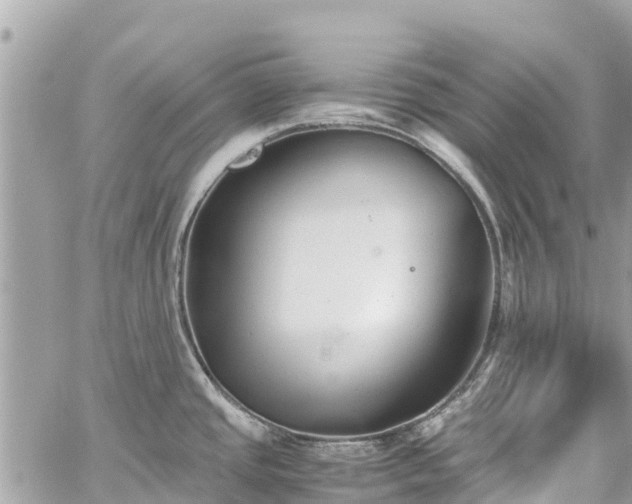 X0000059831437200510241410