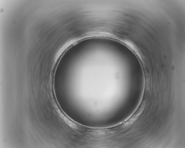 X0000059831438200510241410