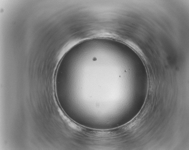 X0000059831439200510241410