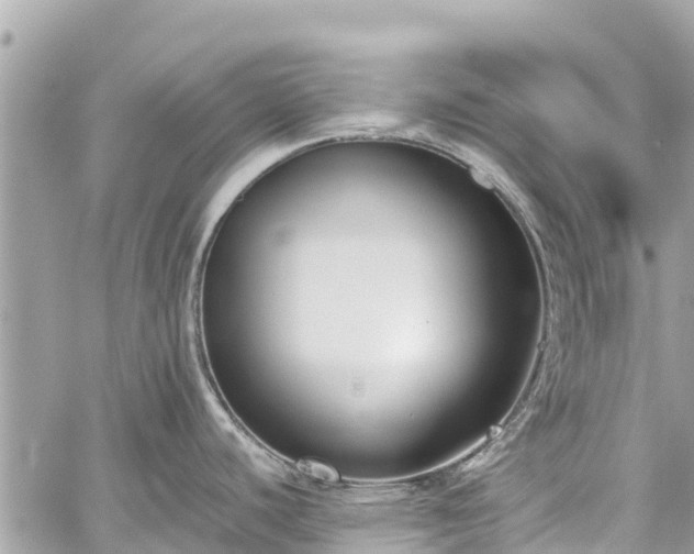 X0000059831440200510241410