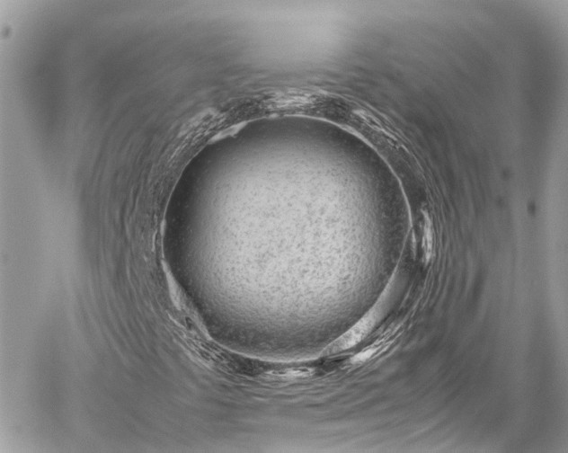 X0000059831441200510241409