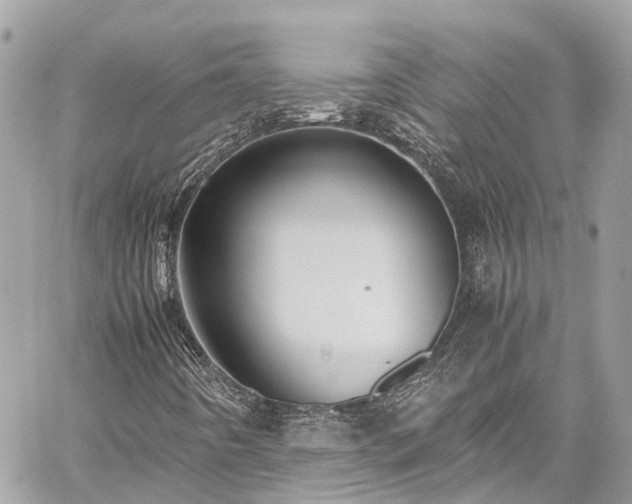 X0000059831442200510241409