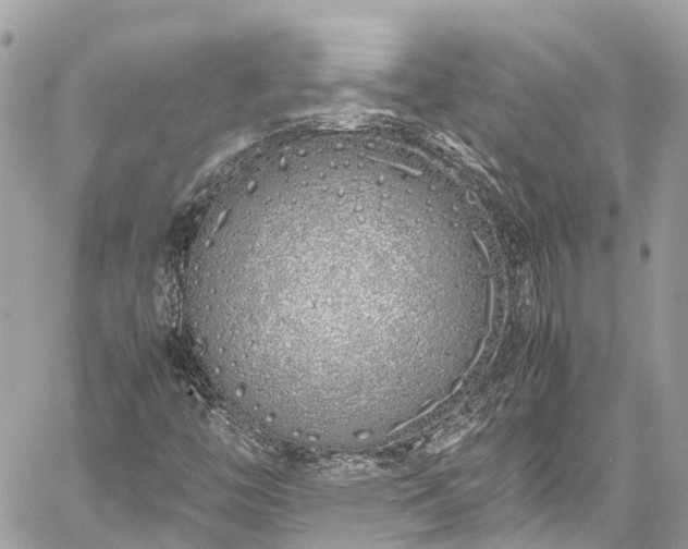 X0000059831446200510241409