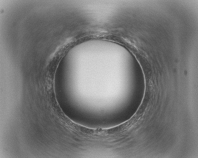 X0000059831447200510241409