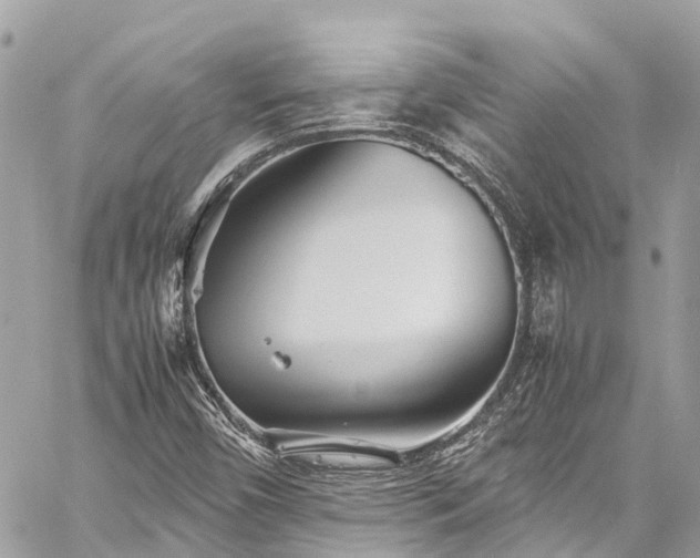 X0000059831450200510241409