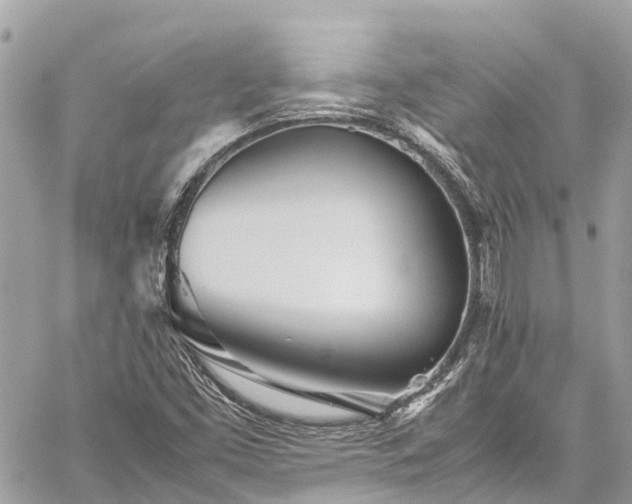 X0000059831453200510241409