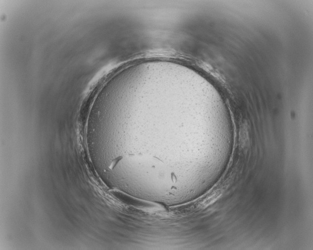 X0000059831454200510241409