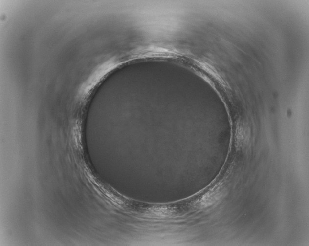 X0000059831455200510241409