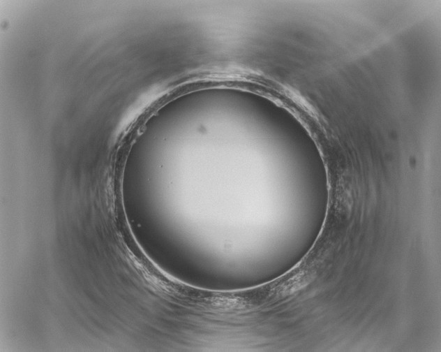 X0000059831456200510241409