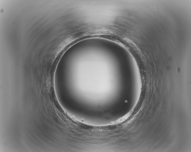 X0000059831457200510241409