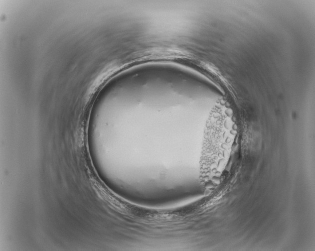 X0000059831459200510241409