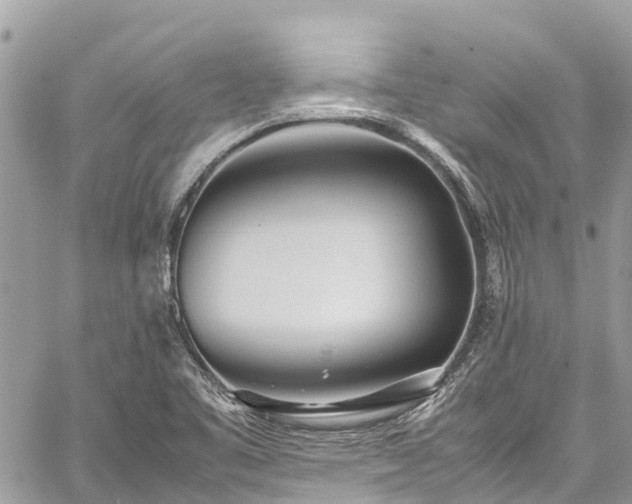 X0000059831461200510241409