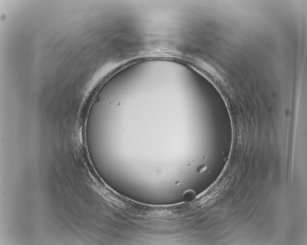 X0000059831462200510241409