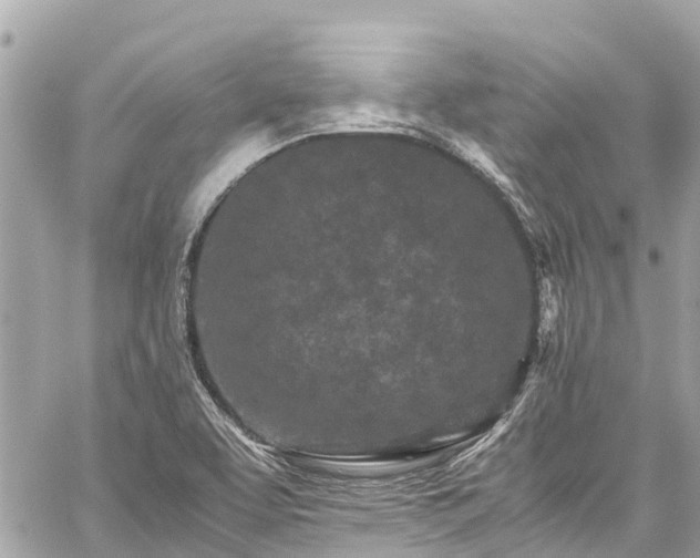 X0000059831463200510241408