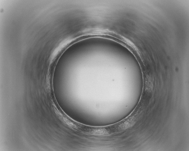 X0000059831464200510241408