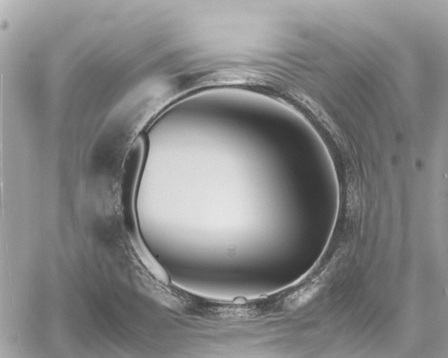 X0000059831465200510241408