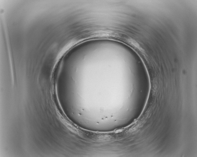 X0000059831467200510241408