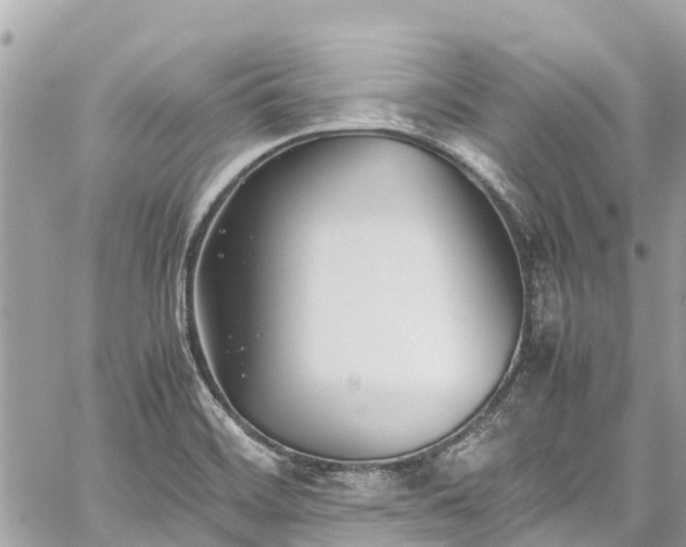 X0000059831468200510241408