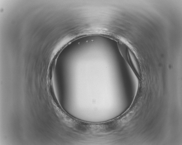 X0000059831469200510241408