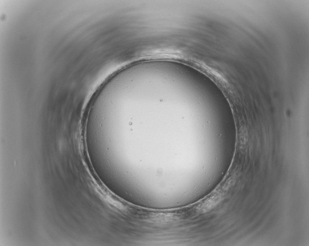 X0000059831470200510241408