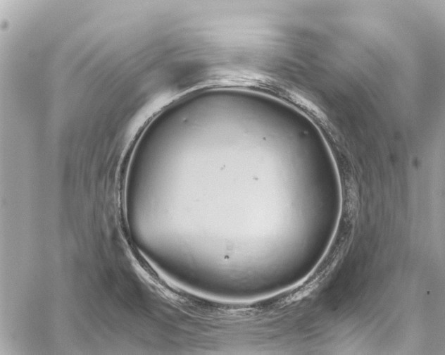 X0000059831471200510241408