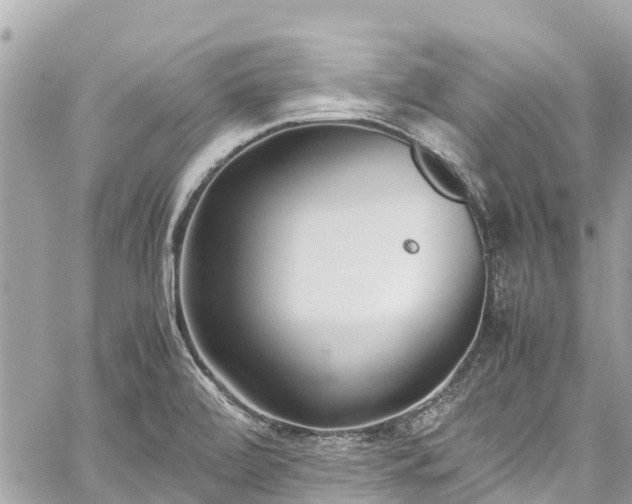 X0000059831472200510241408