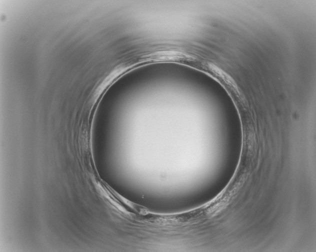 X0000059831473200510241408