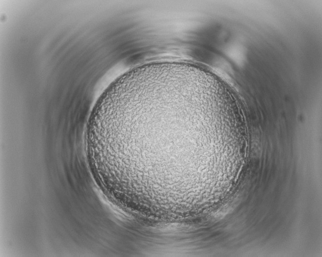 X0000059831474200510241408