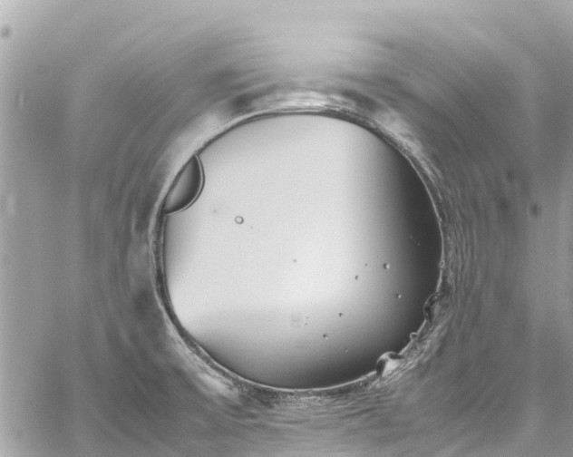 X0000059831475200510241408