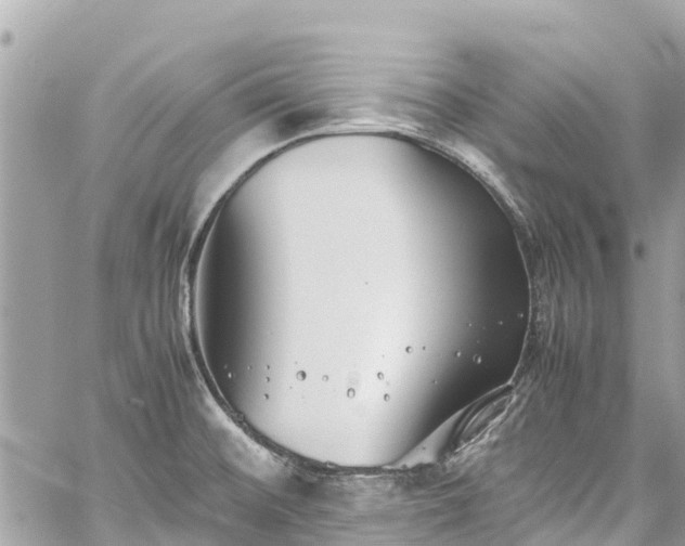 X0000059831476200510241408