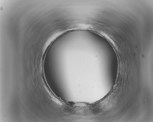 X0000059831477200510241408