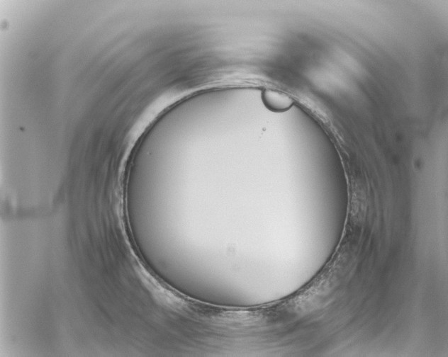 X0000059831478200510241408