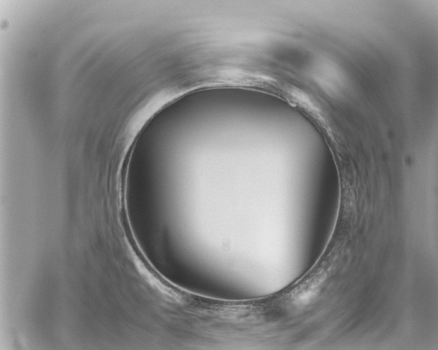 X0000059831479200510241408