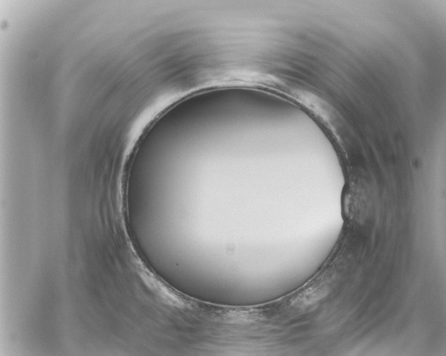 X0000059831480200510241408