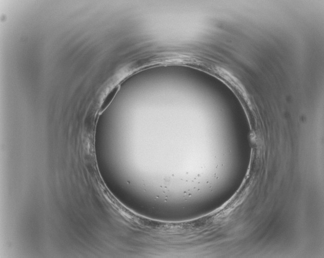 X0000059831481200510241408