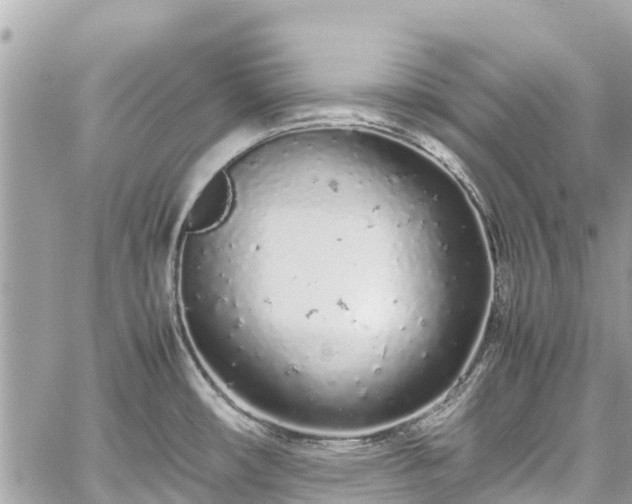 X0000059831482200510241408